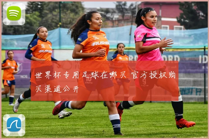 世界杯专用足球在哪买 官方授权购买渠道公开