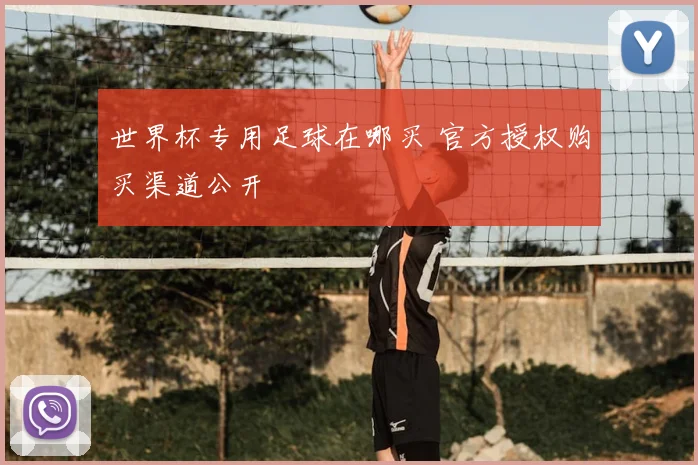 世界杯专用足球在哪买 官方授权购买渠道公开