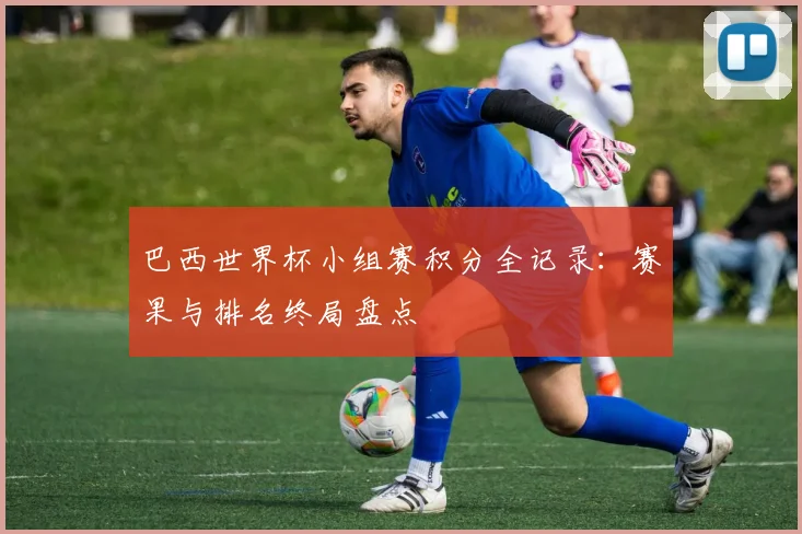 巴西世界杯小组赛积分全记录：赛果与排名终局盘点