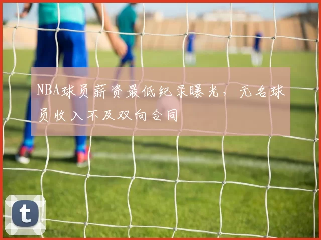 NBA球员薪资最低纪录曝光，无名球员收入不及双向合同