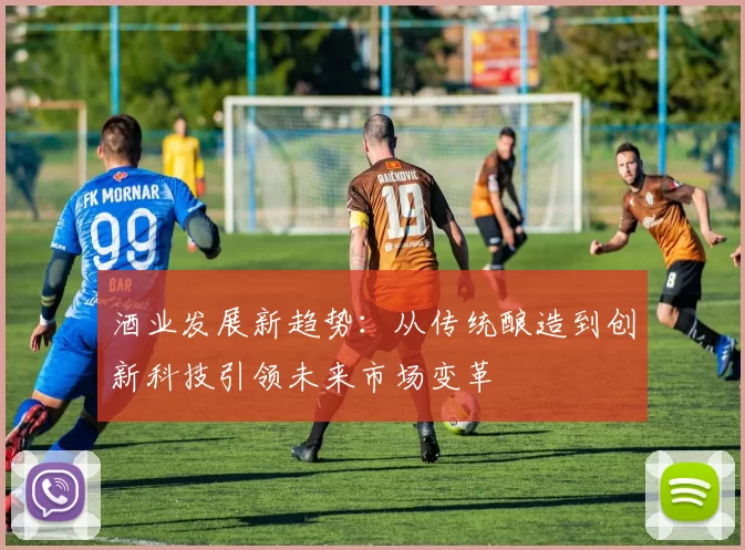 酒业发展新趋势：从传统酿造到创新科技引领未来市场变革