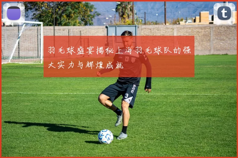 羽毛球盛宴揭秘上海羽毛球队的强大实力与辉煌成就