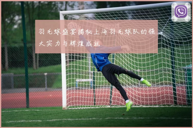 羽毛球盛宴揭秘上海羽毛球队的强大实力与辉煌成就