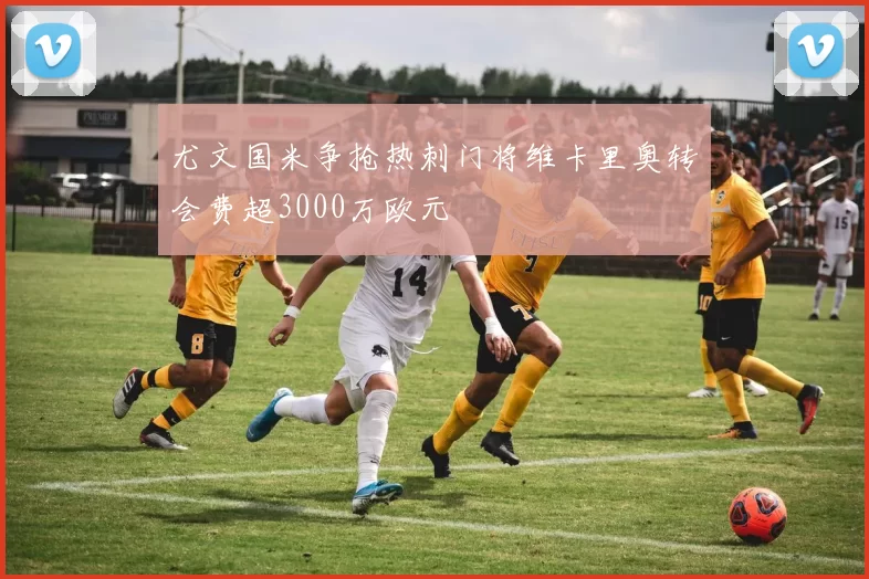 尤文国米争抢热刺门将维卡里奥转会费超3000万欧元