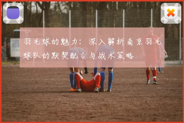 羽毛球的魅力：深入解析南京羽毛球队的默契配合与战术策略