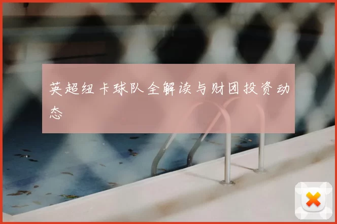 英超纽卡球队全解读与财团投资动态