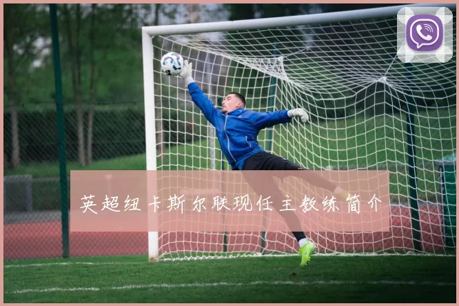 英超纽卡斯尔联现任主教练简介