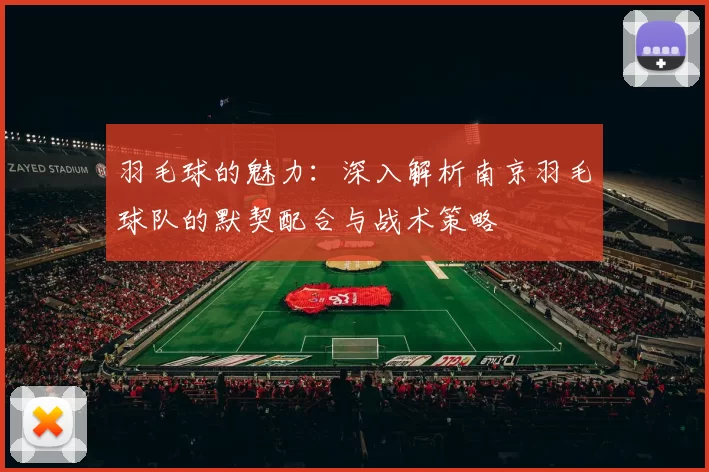 羽毛球的魅力：深入解析南京羽毛球队的默契配合与战术策略