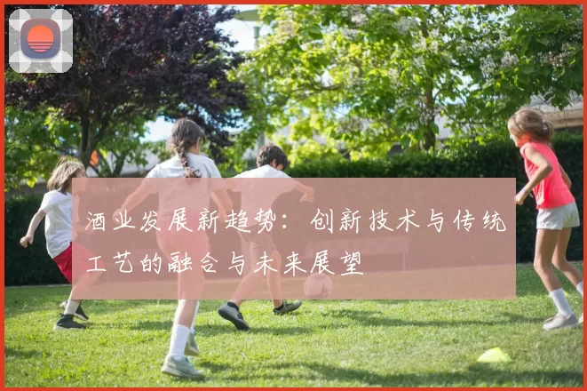 酒业发展新趋势：创新技术与传统工艺的融合与未来展望